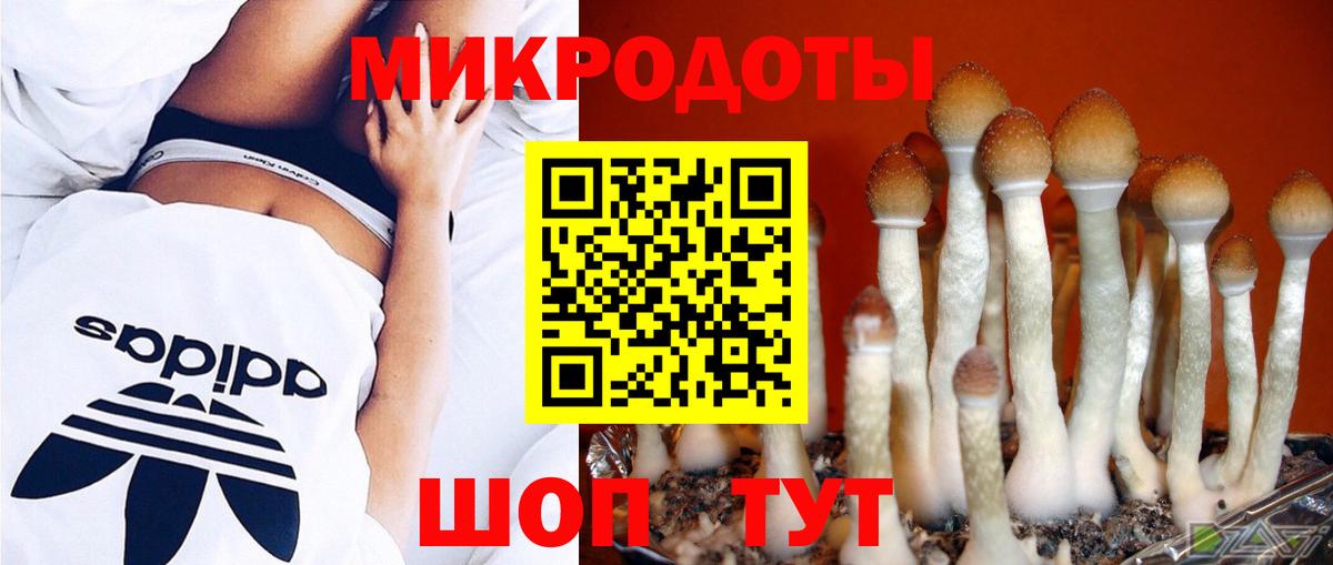 Псилоцибиновые грибы ЛСД  как найти   Вход с VPN  Моршанск  Псилоцибиновые грибы MAGIC MUSHROOMS 
